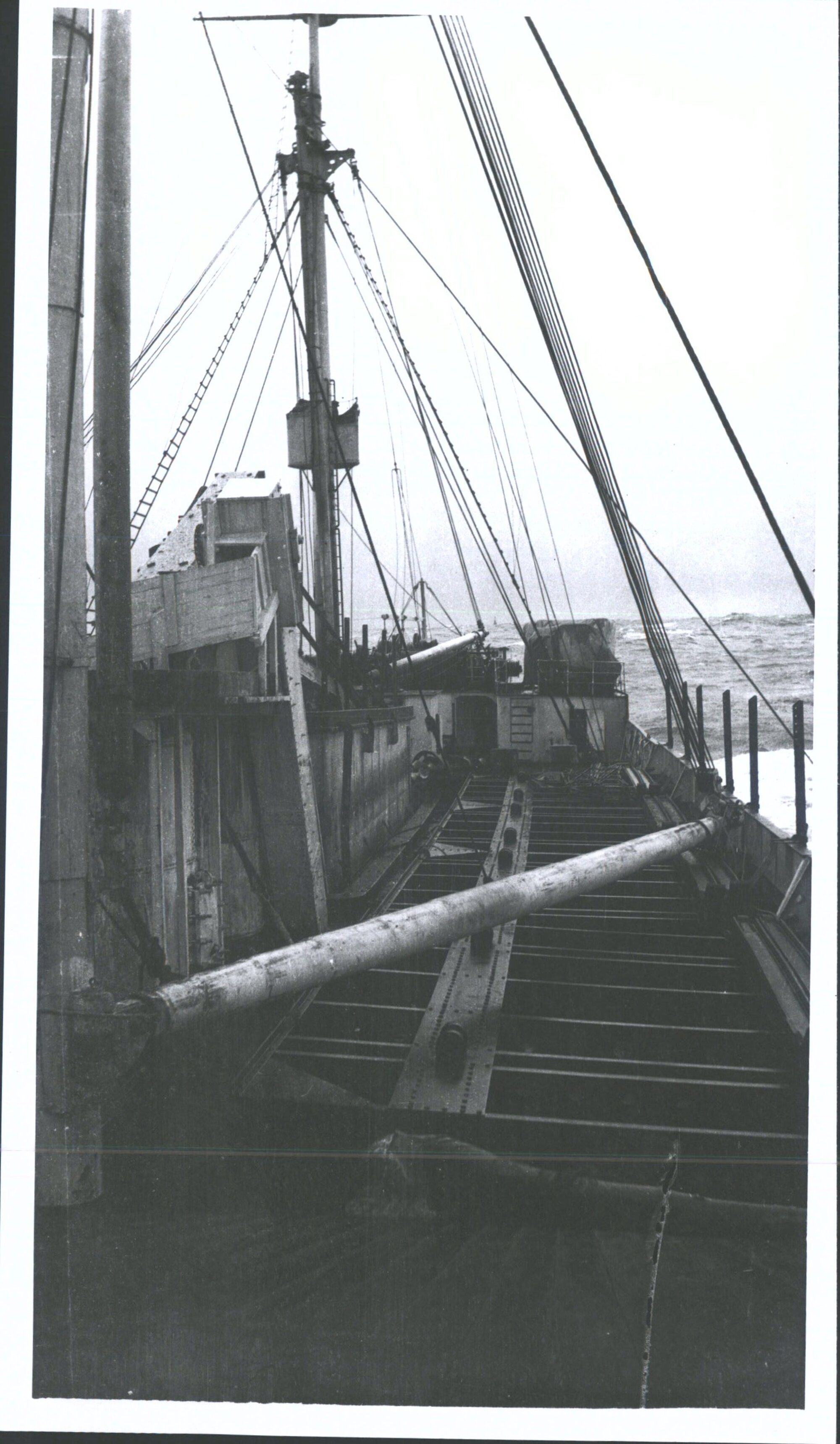 On deck of whaling ship