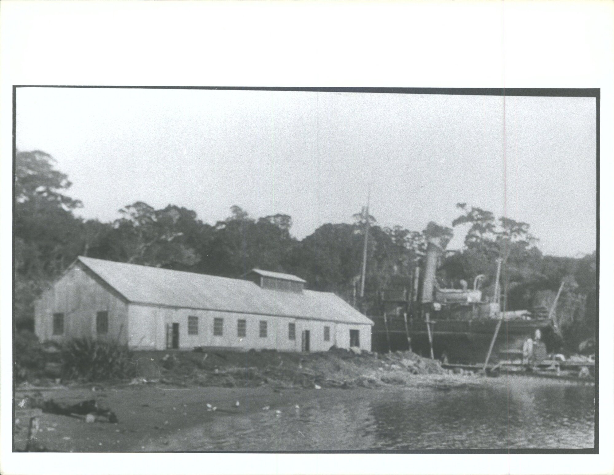 Kaipipi Ship Yard, Paterson's Inlet, Stewart Island