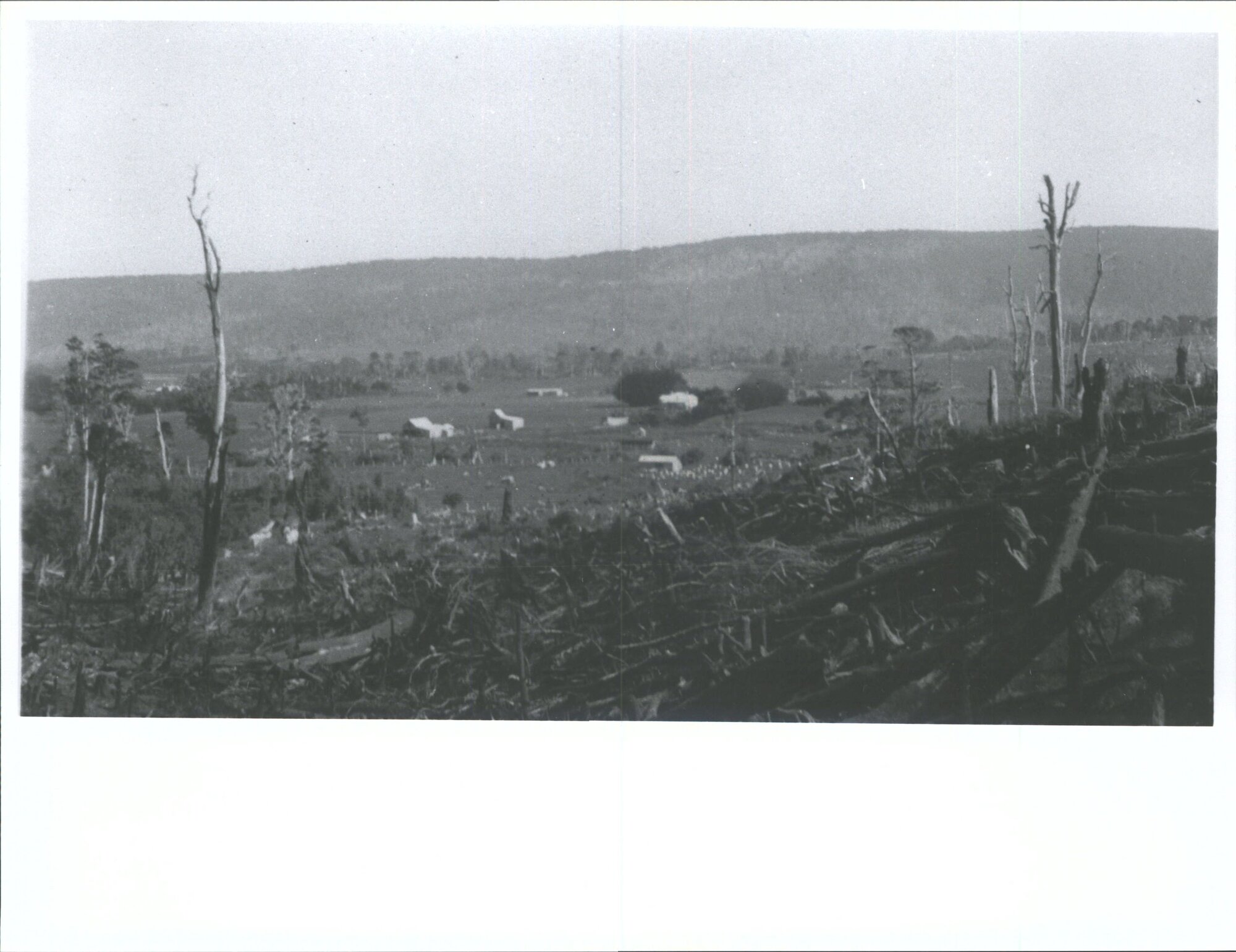 Tahakopa Valley: Clearing a Hillside