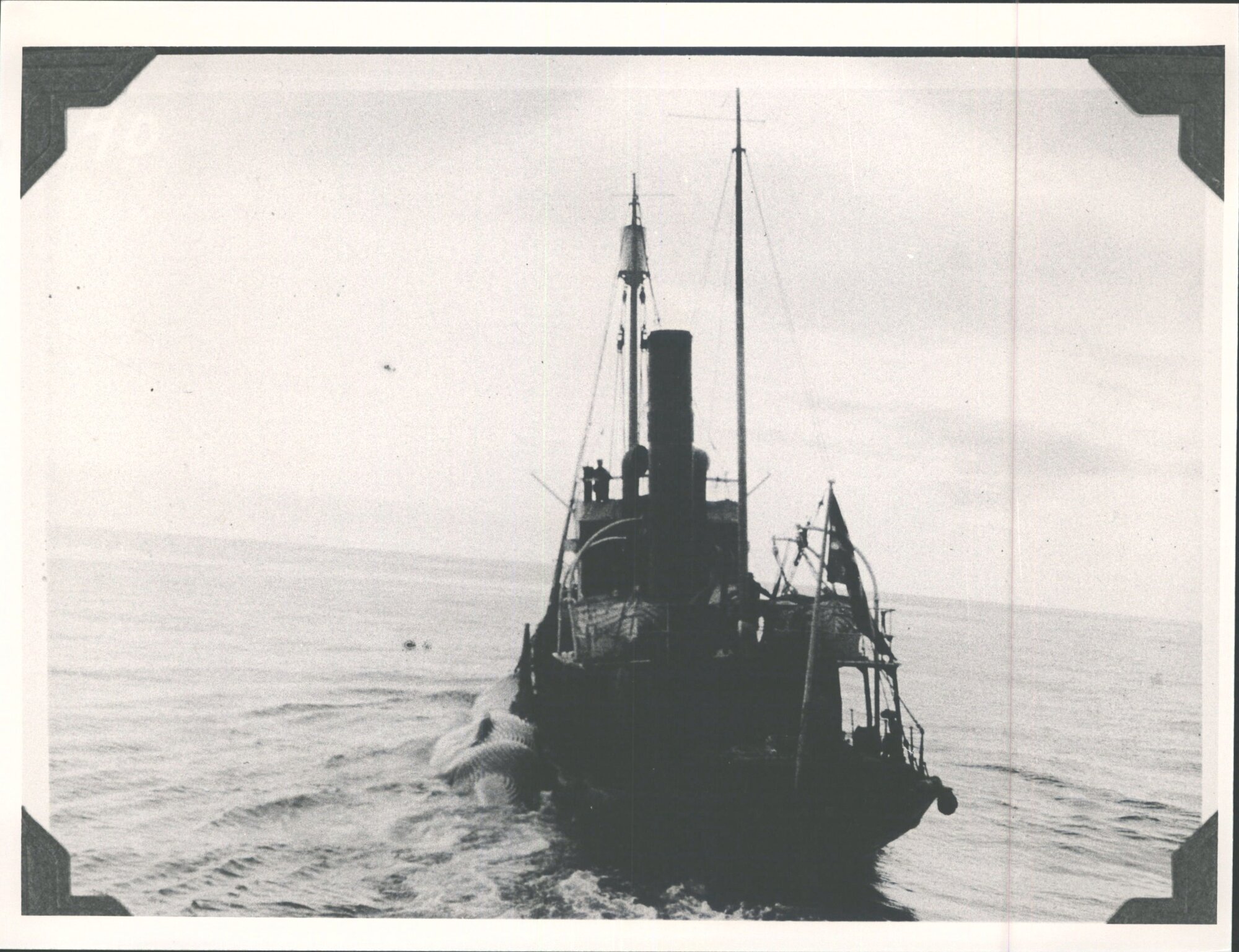 Whale chaser with whale