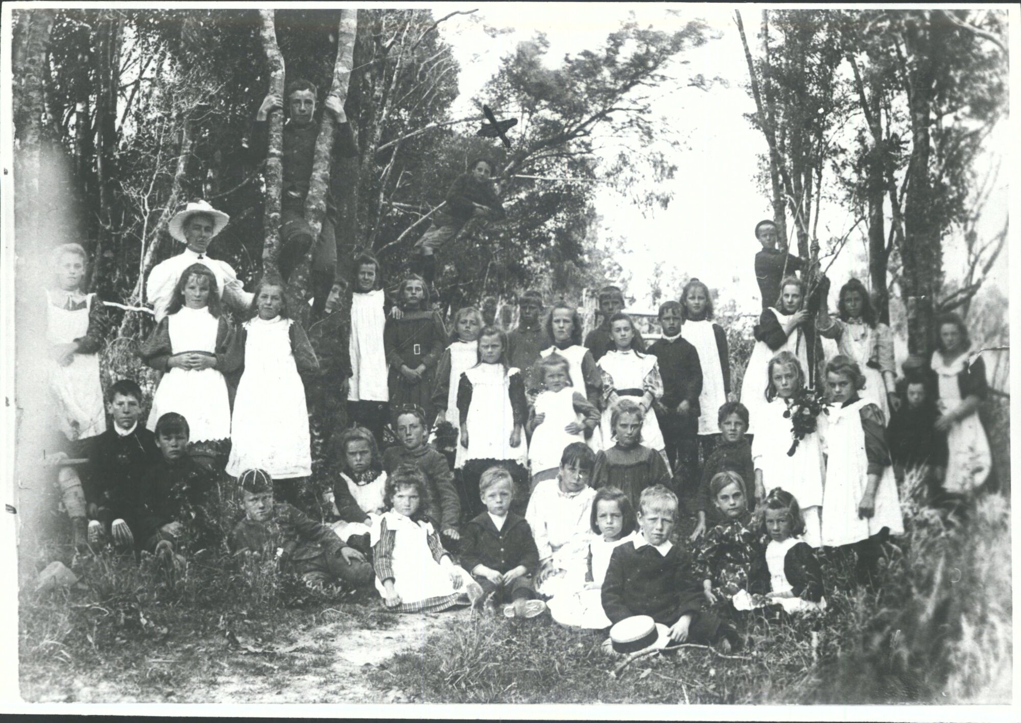 Tahatika School, in the bush