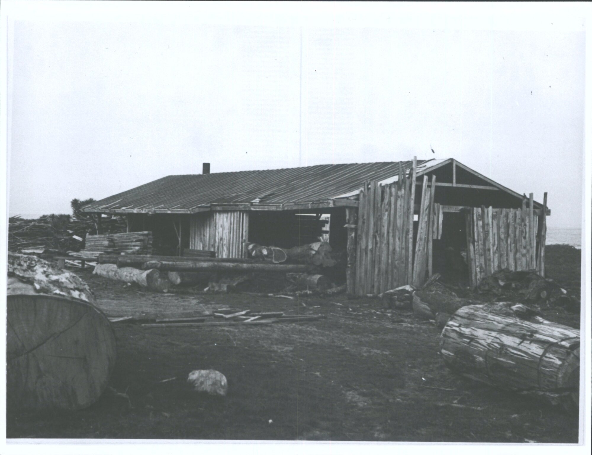 Sawmill at Taieri Mouth