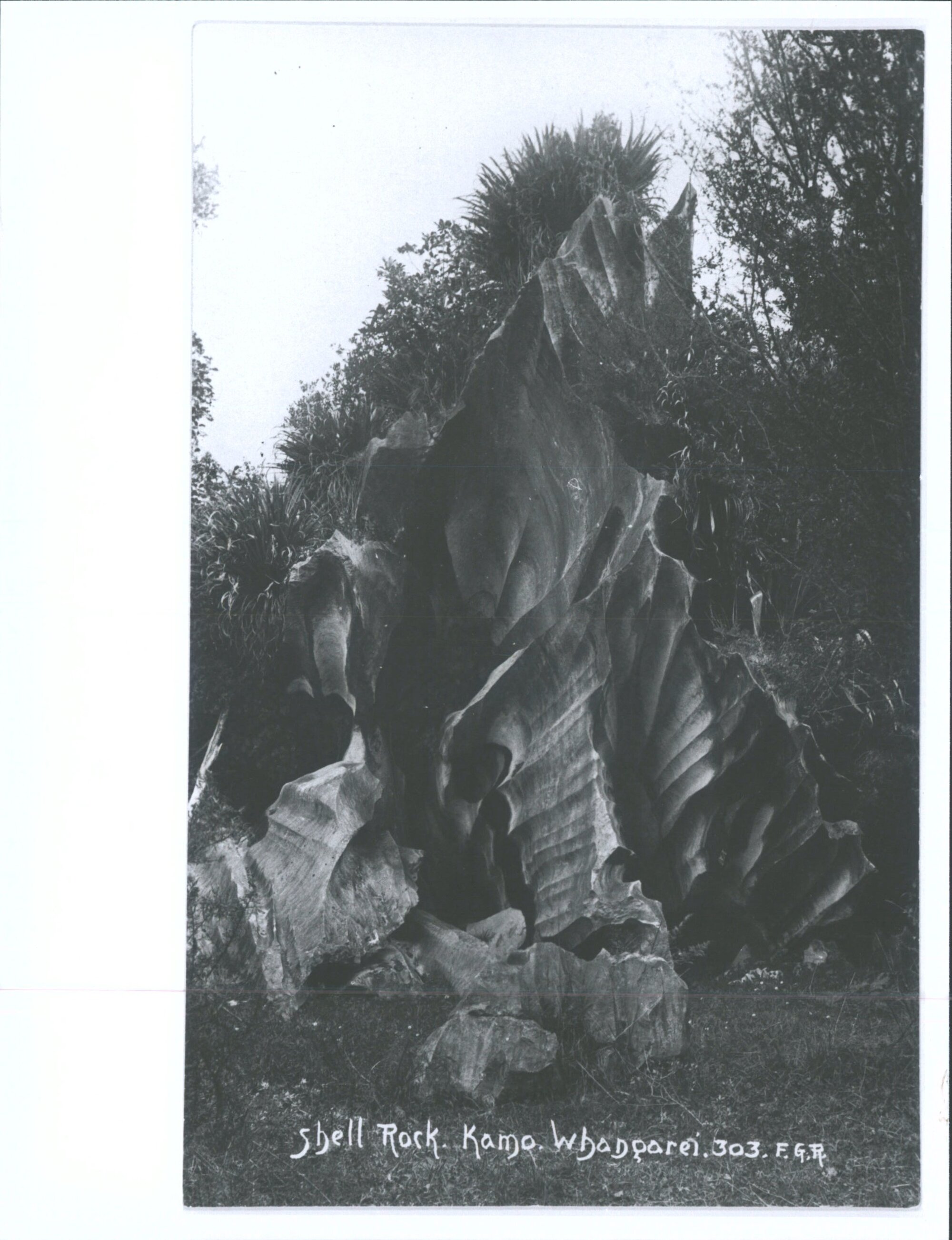 Shell Rock, Kamo, Whangarei