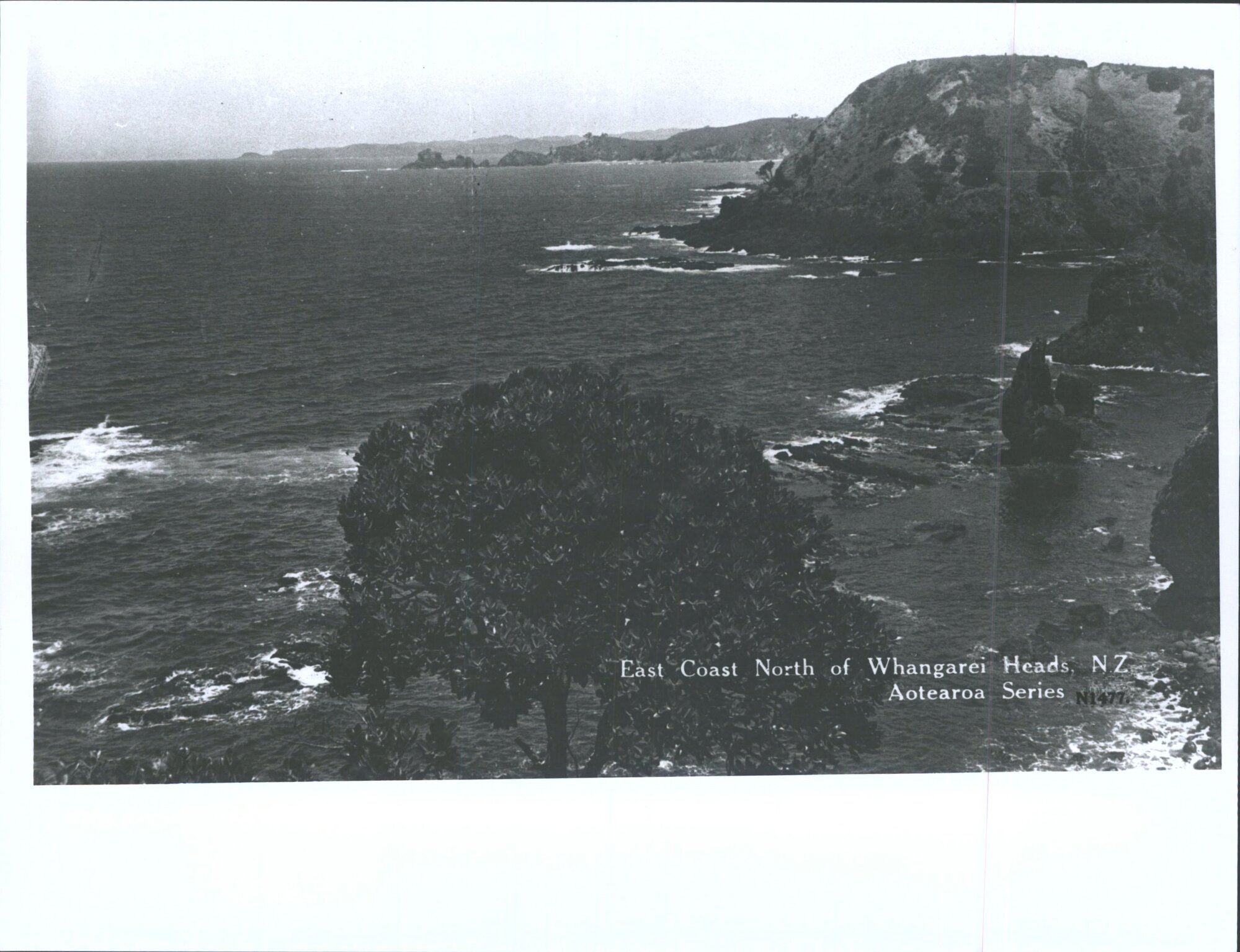 East Coast North of Whangarei Heads, N.Z.