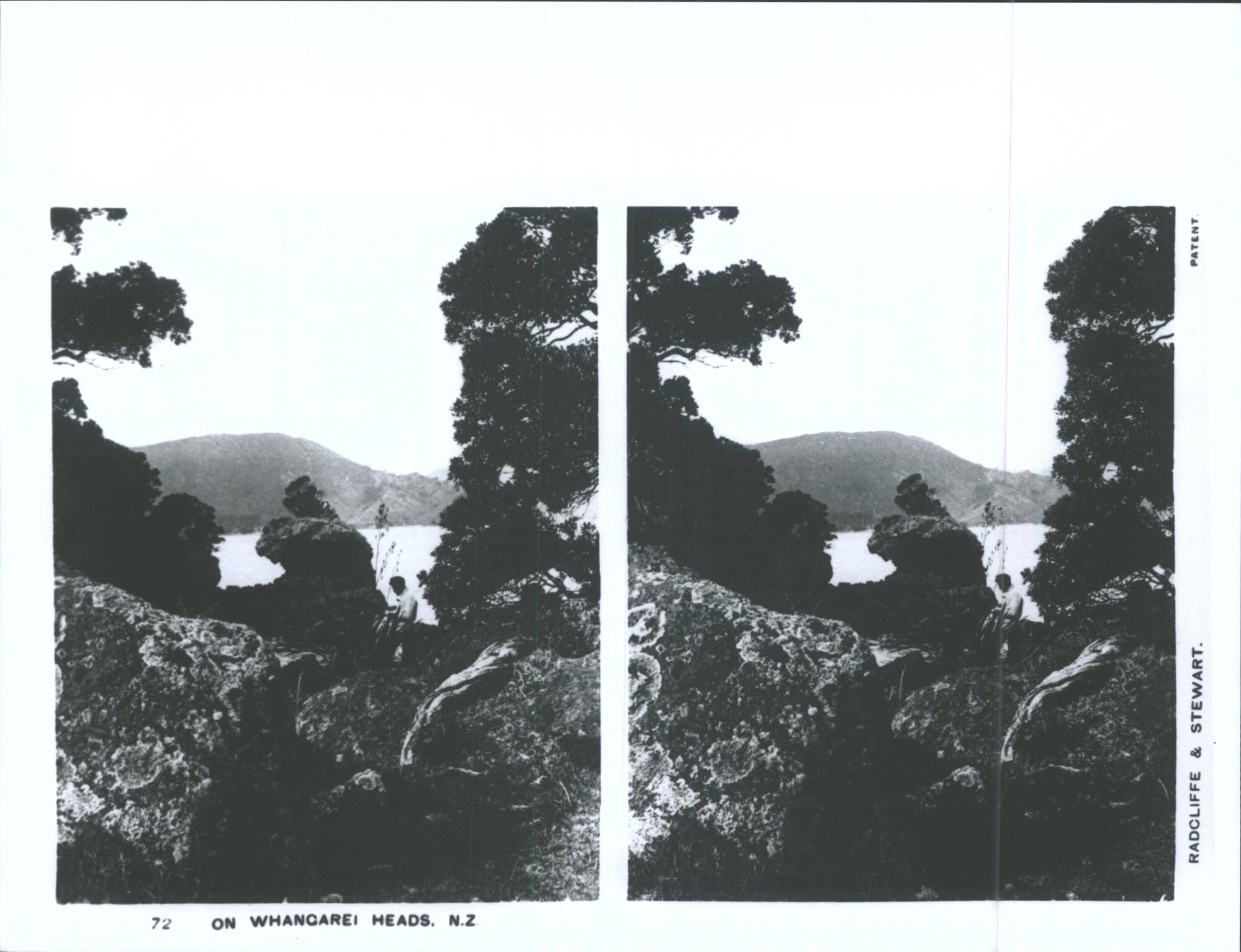 On Whangarei Heads, N.Z.