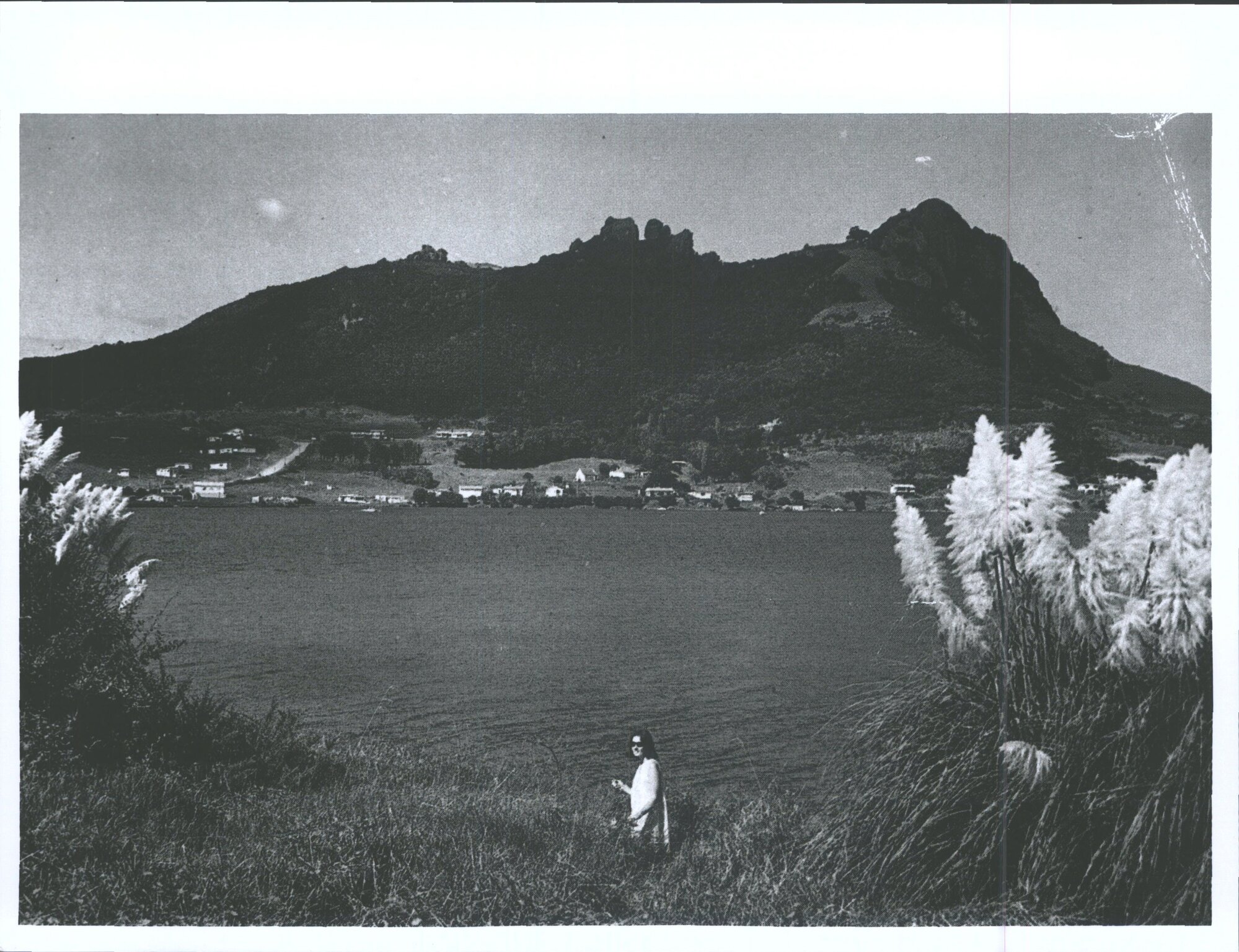 McLeod's Bay, Whangarei Heads, looking across the skyline towards Mt. Aubrey