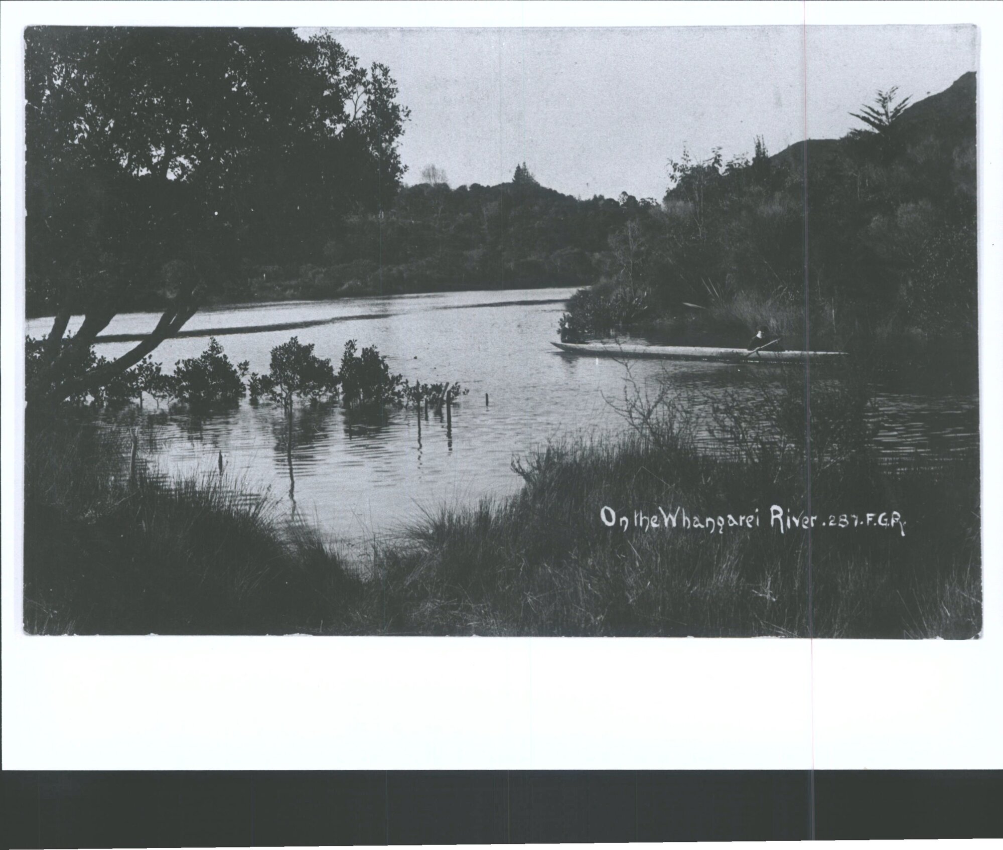 On the Whangarei River