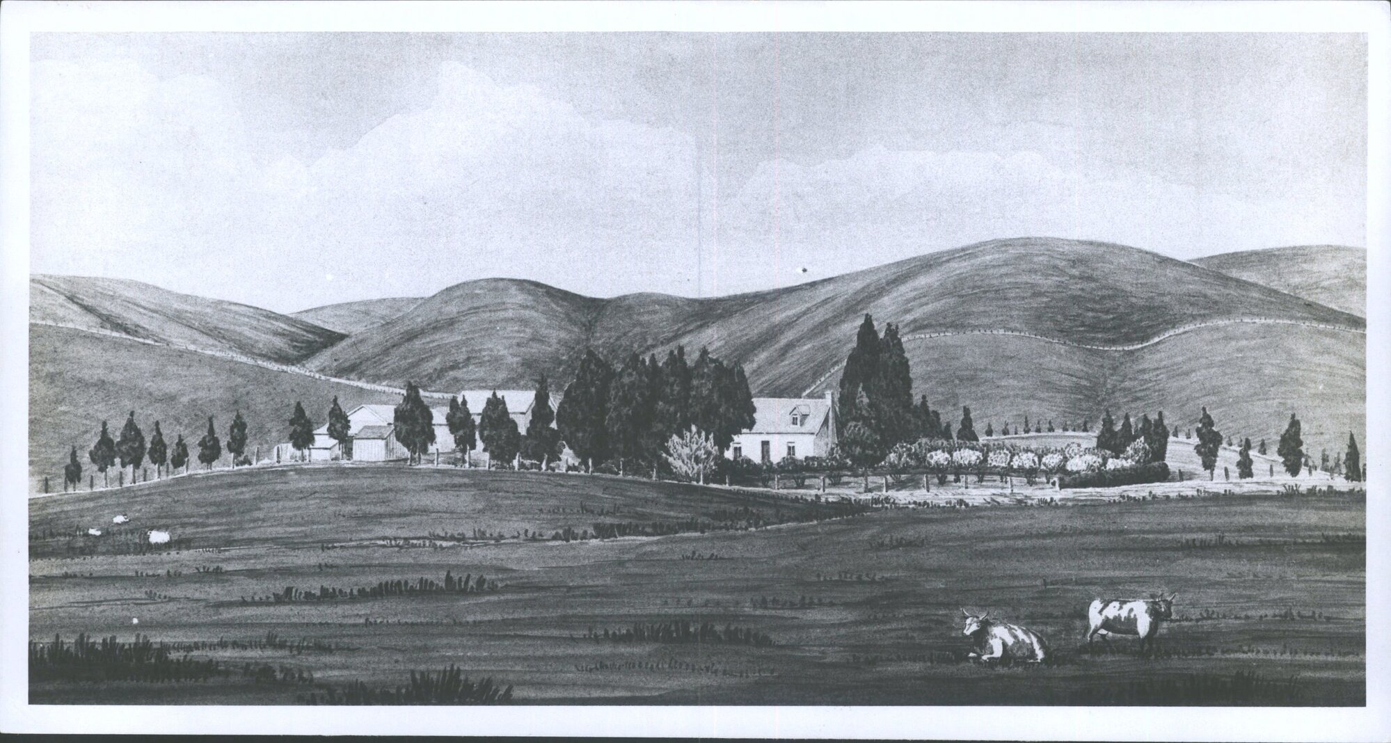"Spring Garden", Taieri Plain