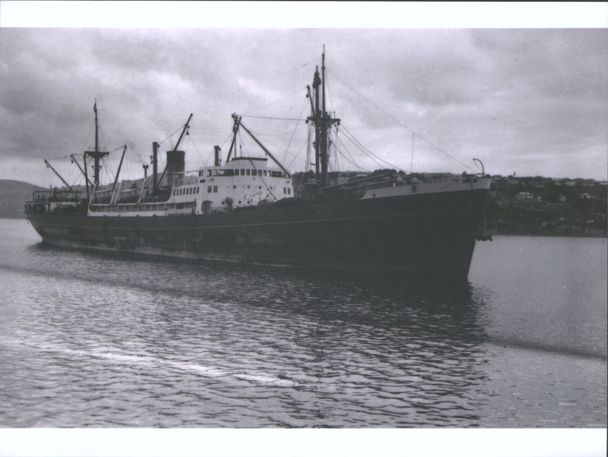 Waitemata III