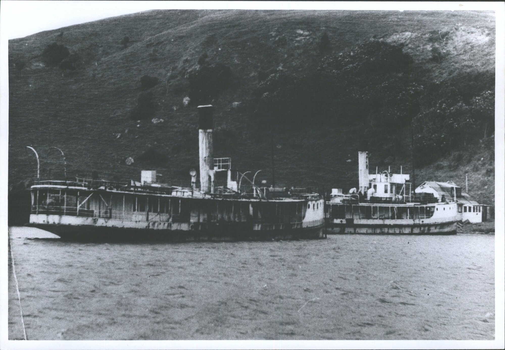 Waikana &amp; Waireka