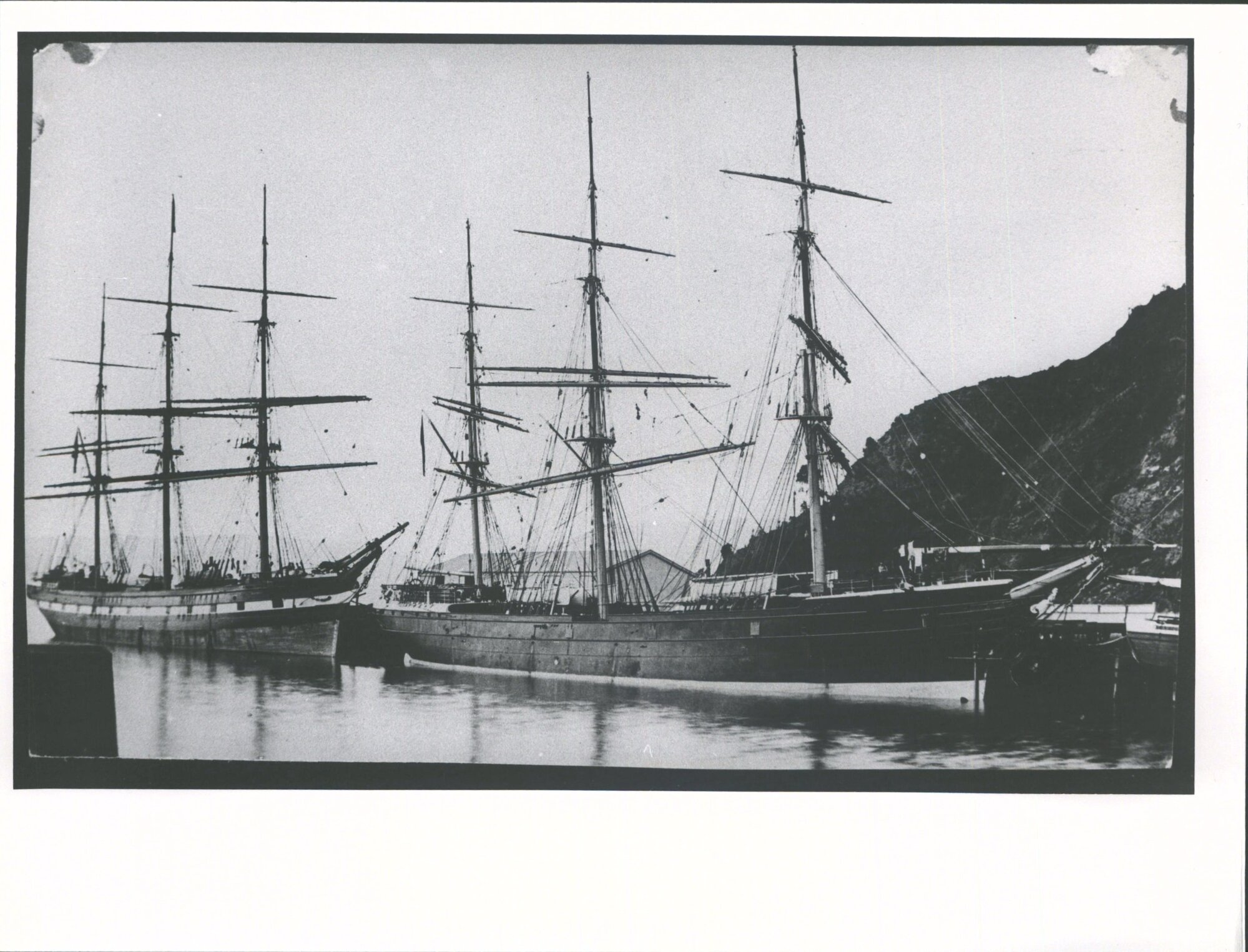 Wild Deer (left?) and Fernglen