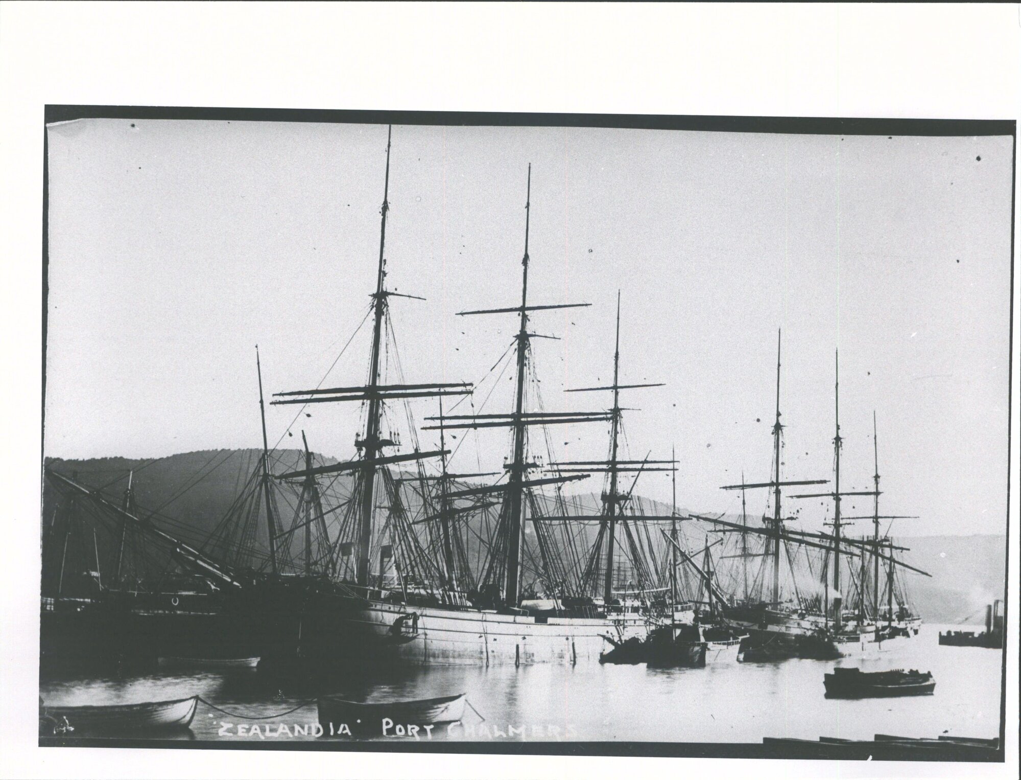 Zealandia (Jan 1873 Port Chalmers)