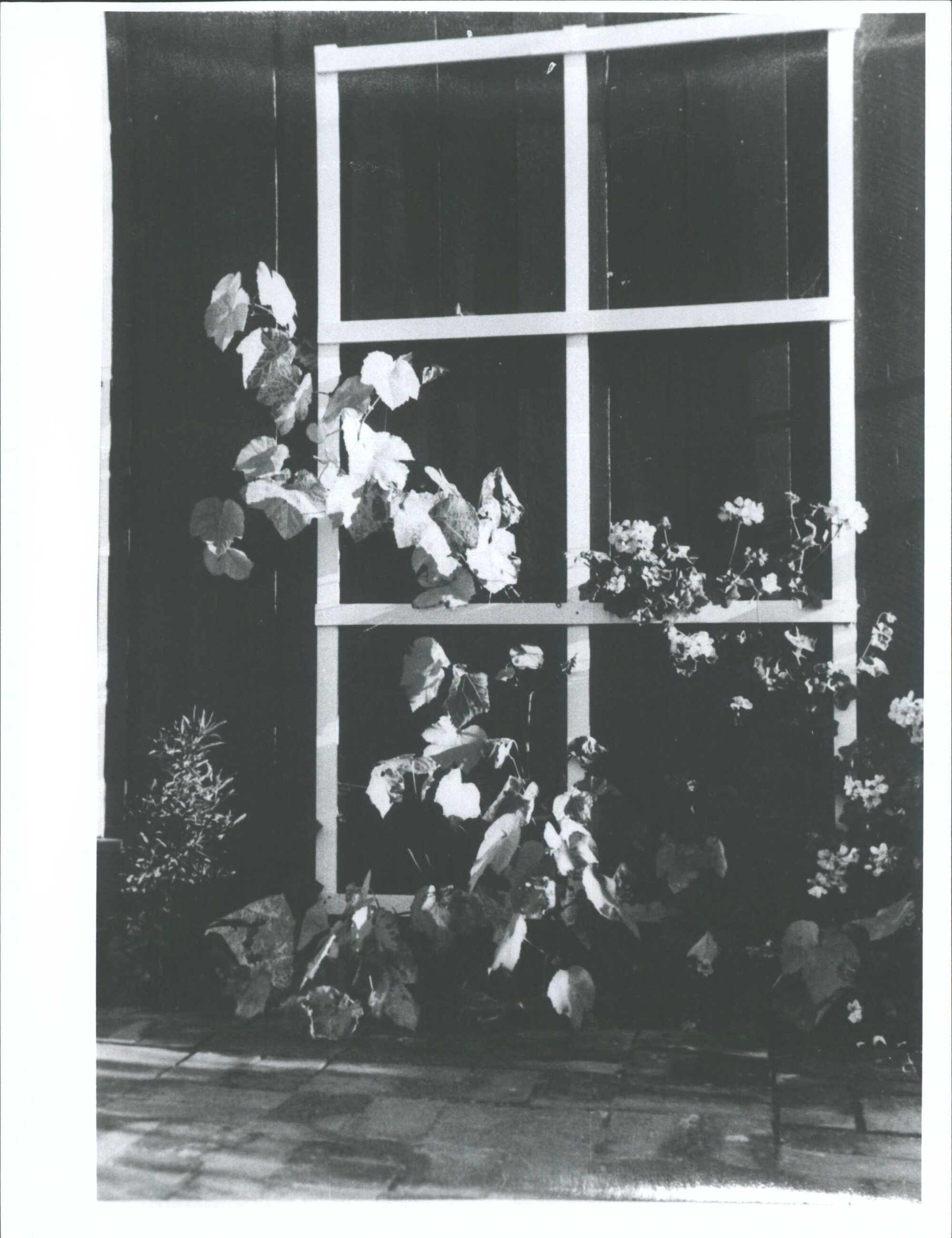 Angus, Rita (also Cook)