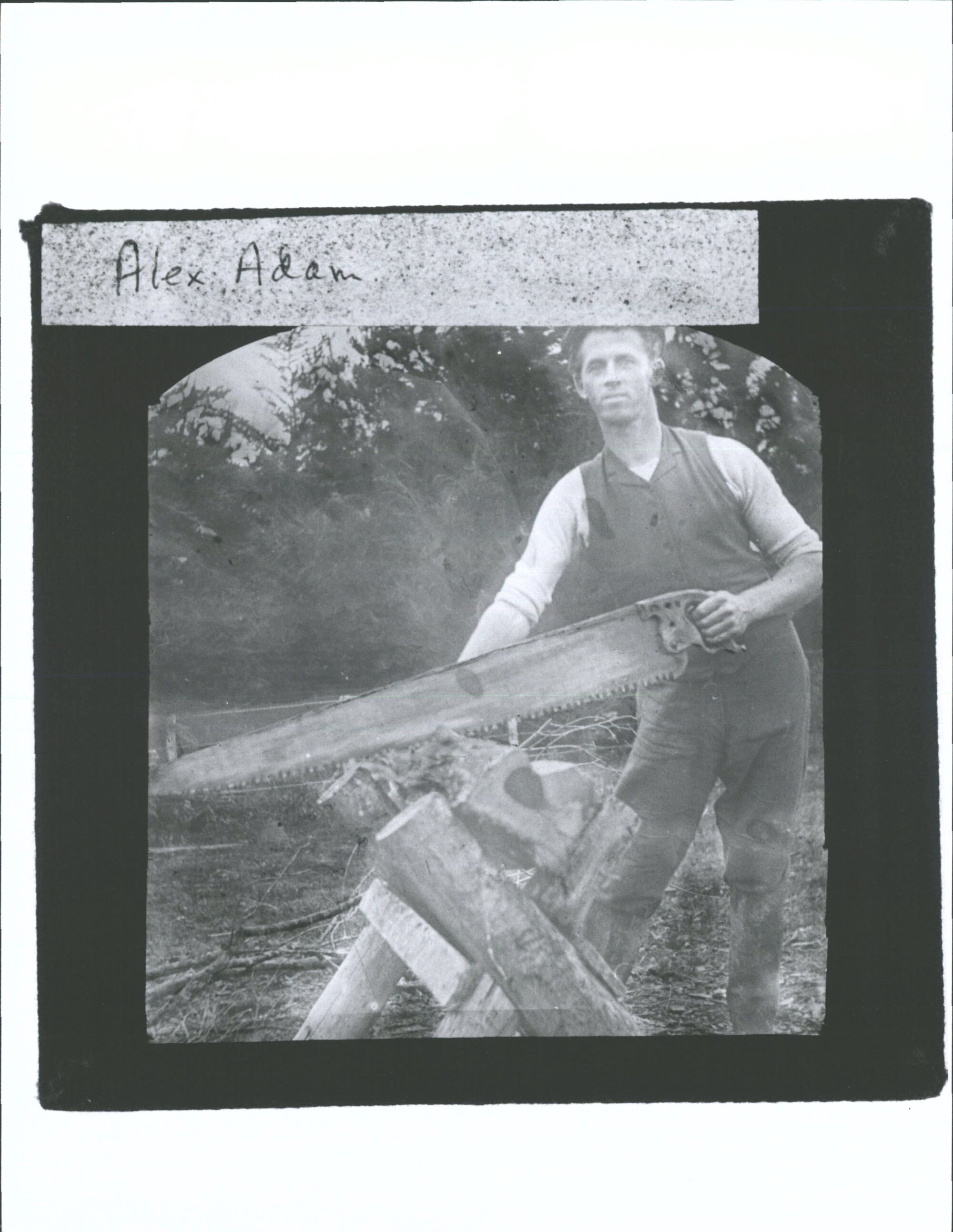 Adam, Alex