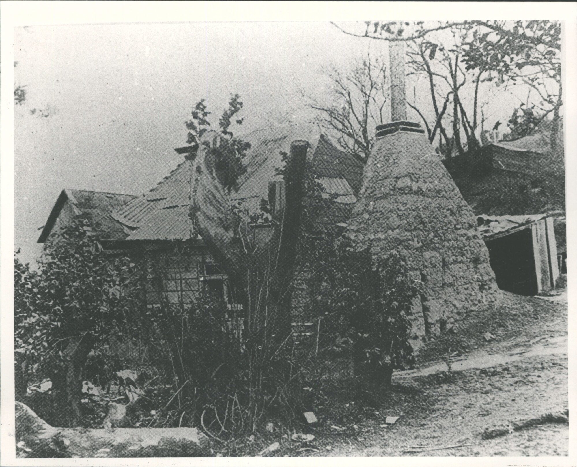 CARGILL, William. Hillside - Caversham