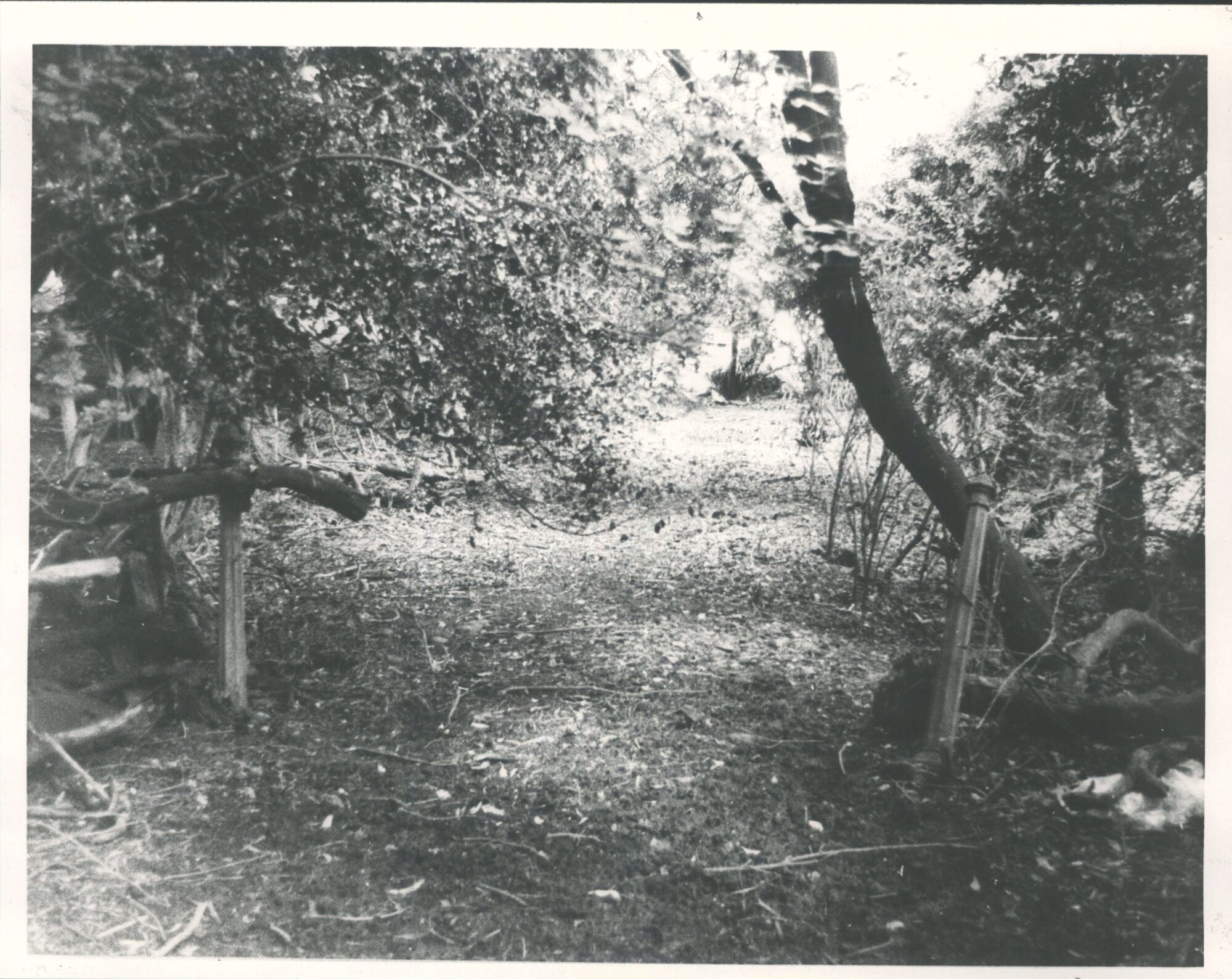 CARGILL - John (John Jones) 1983