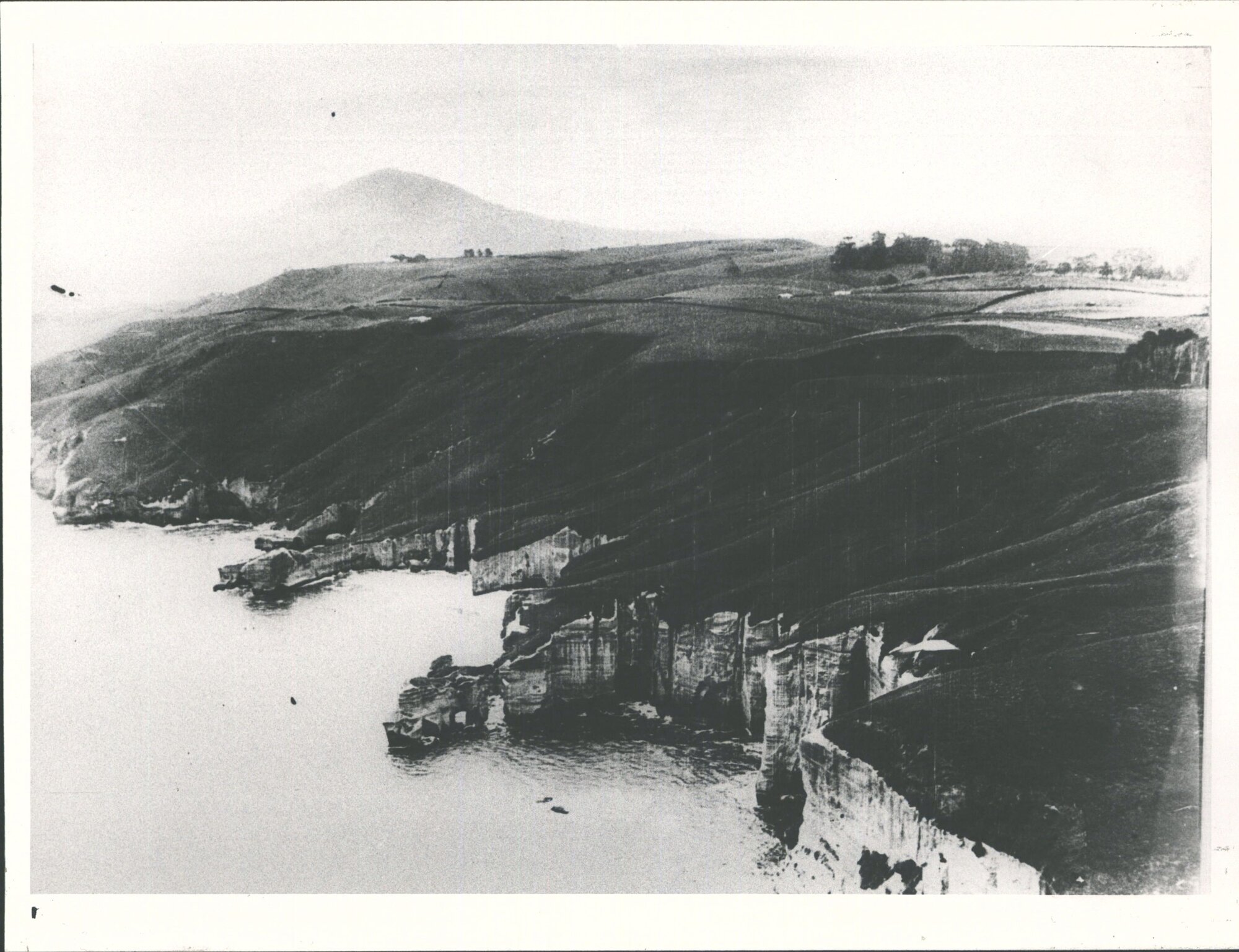DUNEDIN - St Clair - Sandstone Cliffs