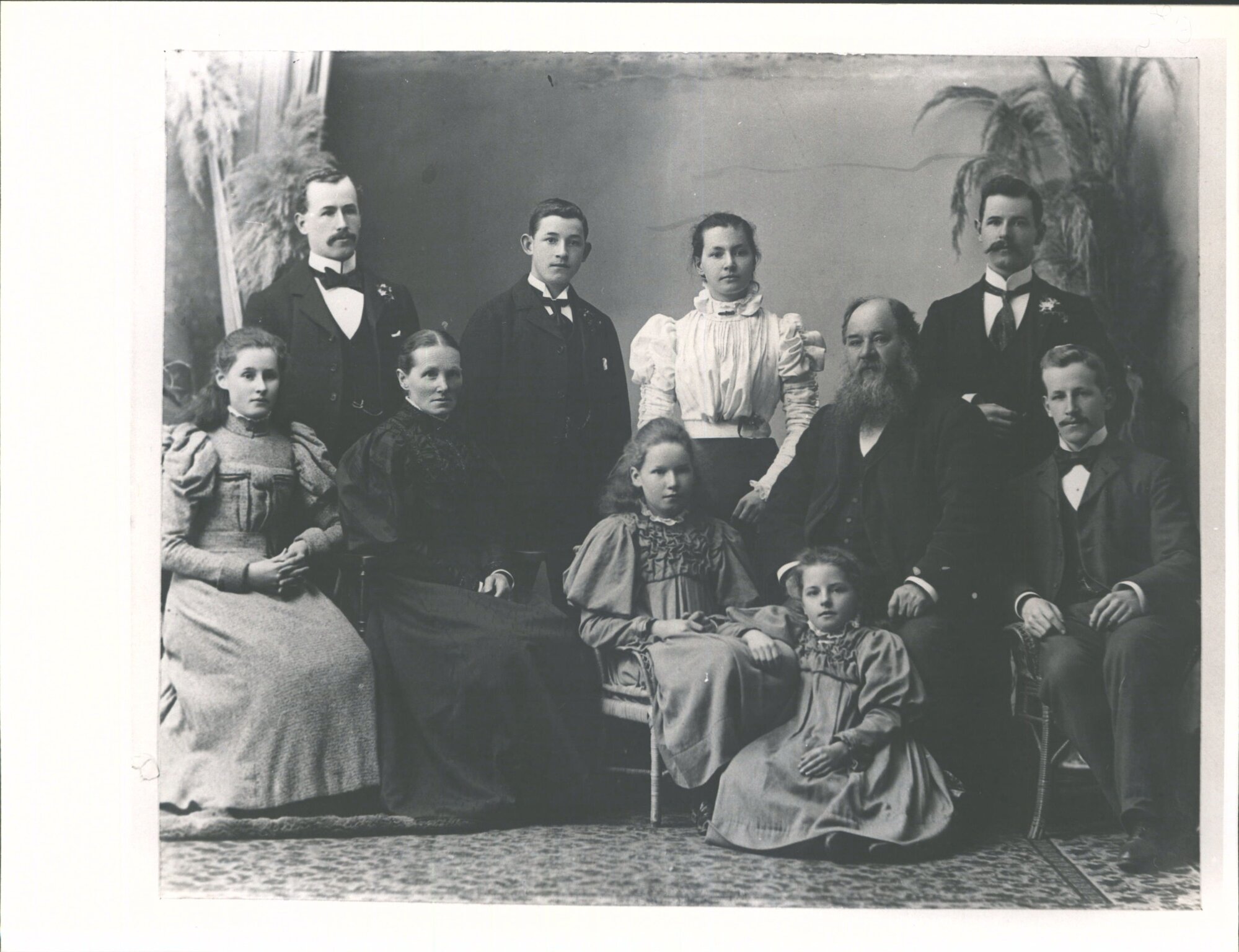 FALCONER Family
