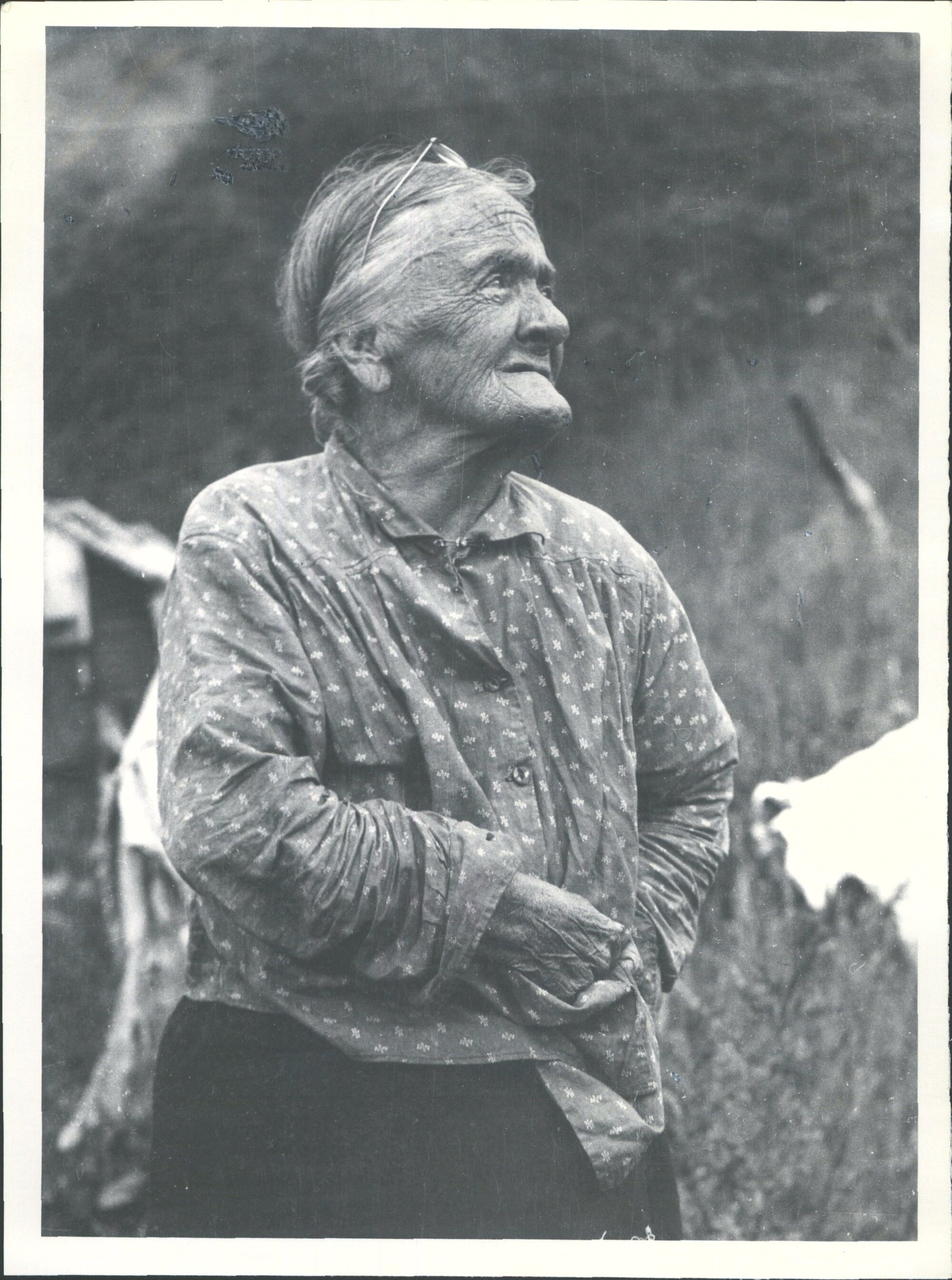 Queen of the Nuggets.