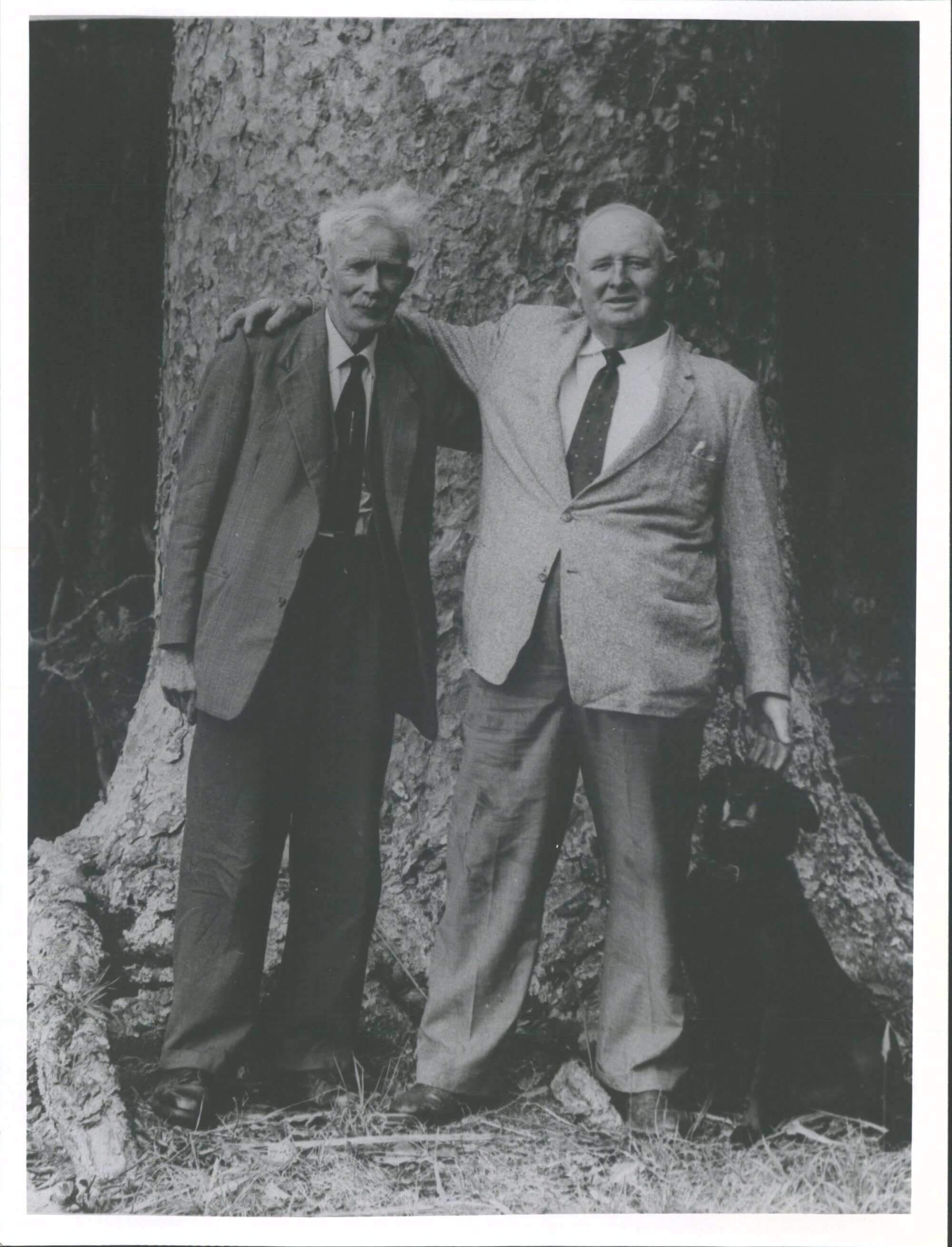 author 'The Story of Kauri' (R)   T.W. Collins photographer  'The Story of Kauri' at Thomsons Kauri Reserve 1961