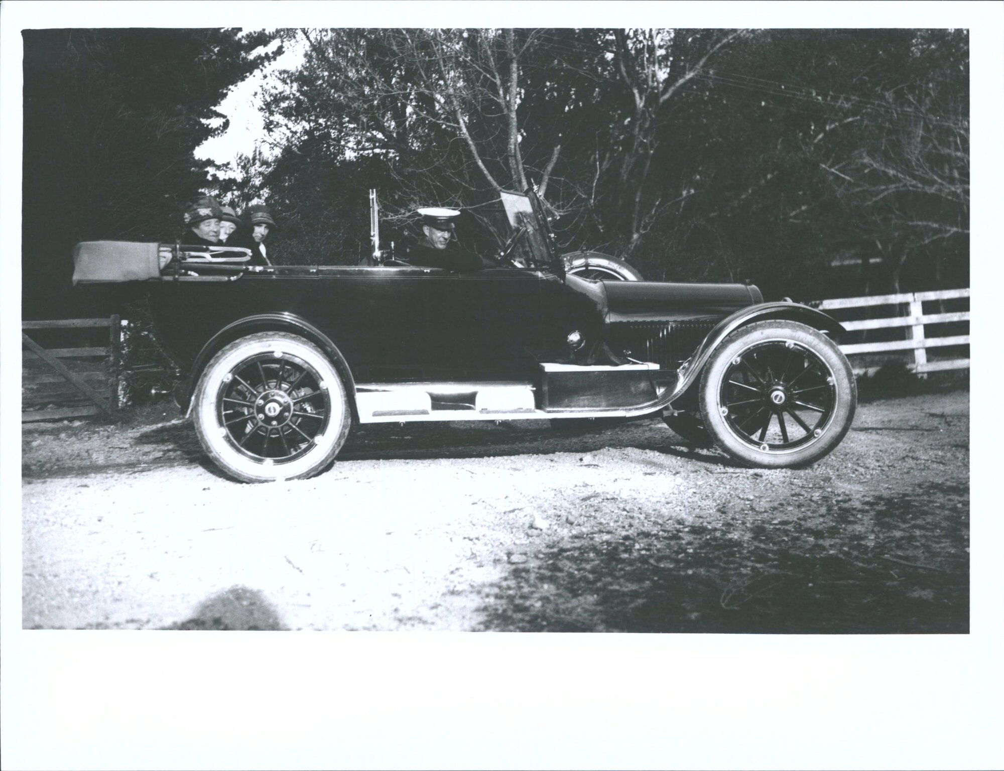 Daffodils, Mr &amp; Mrs Theomin in car, possibly collecting daffodils for Plunket