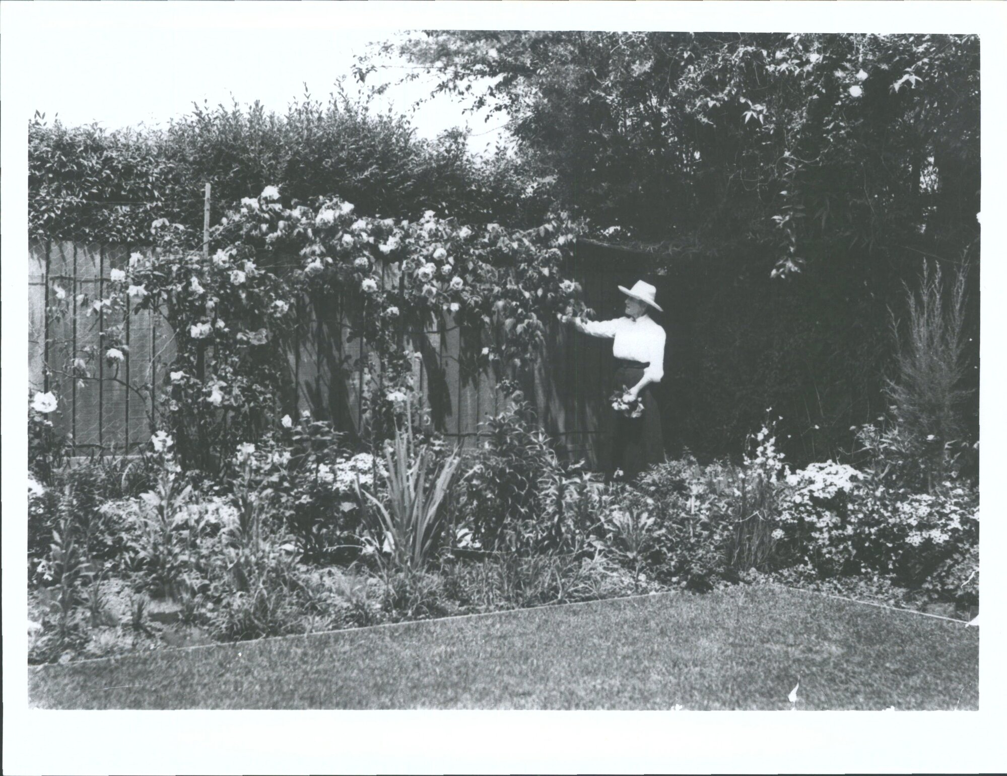 "Grannie in her garden "[Jervois Rd?]