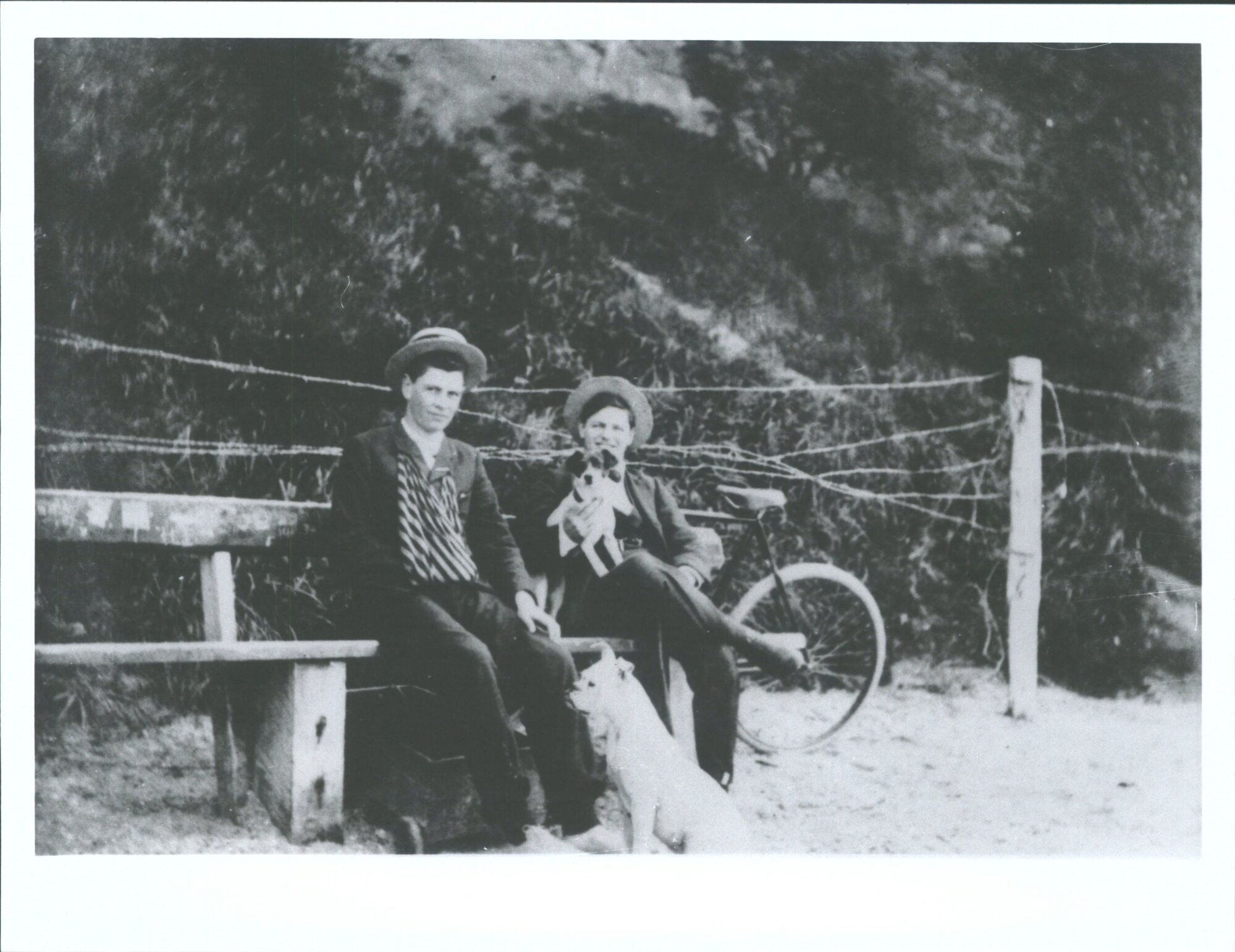 N. Cato &amp; C. Walrond, Shelly Beach 1900