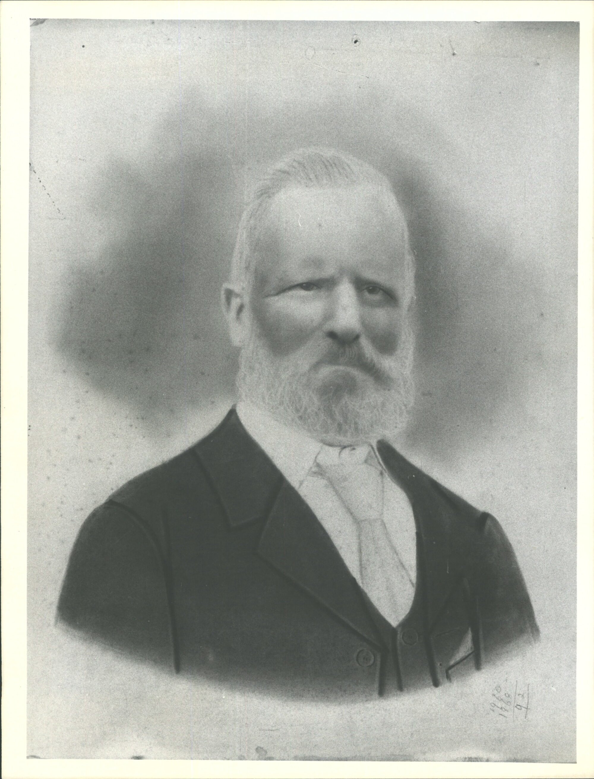 Spear Grass (Bald Hill) Gold Miner