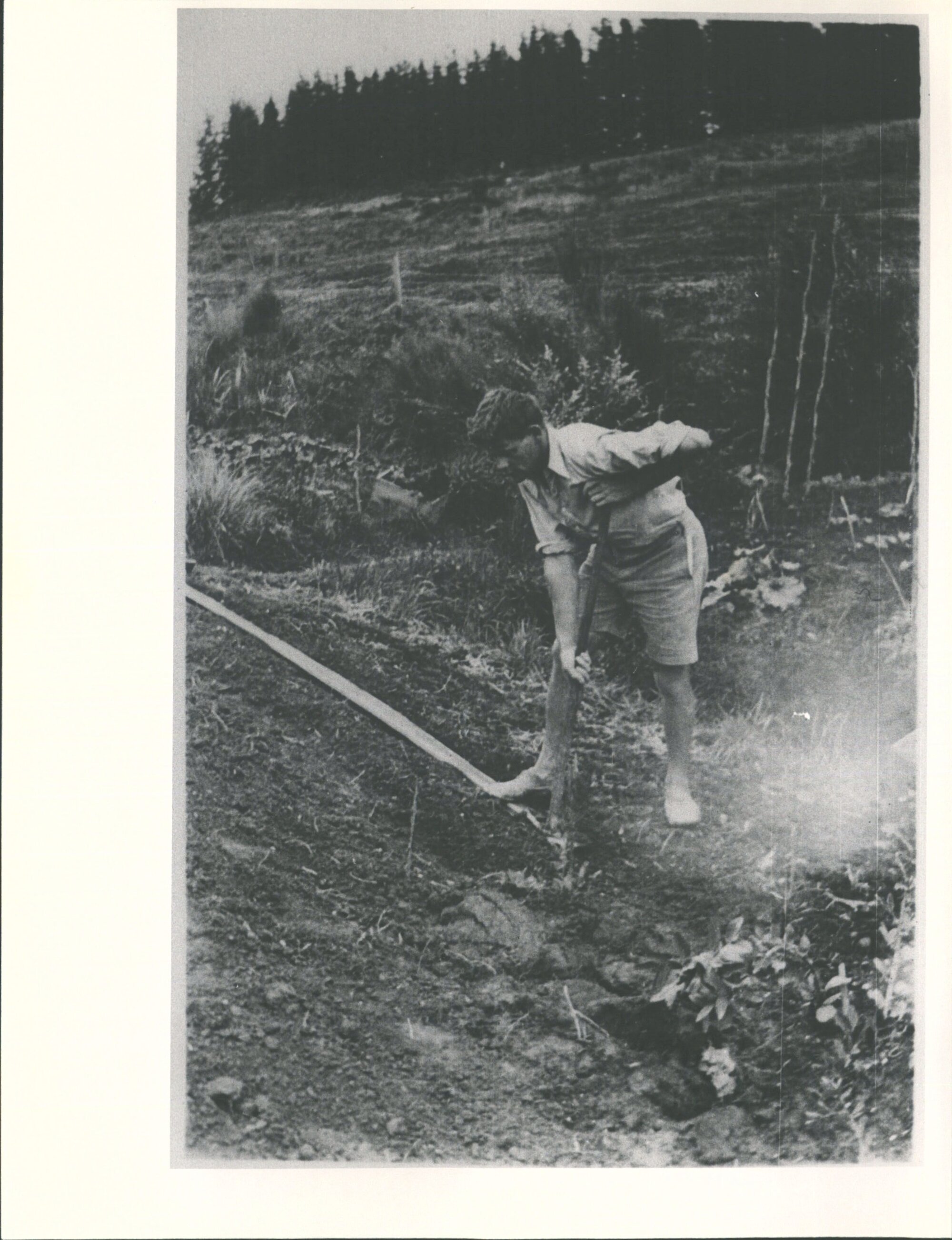 Toss in the garden Mapua