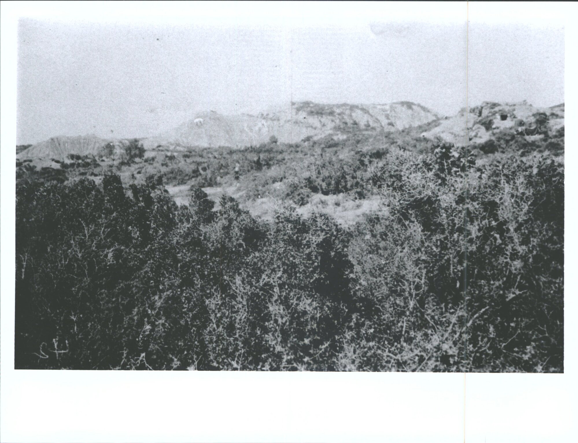 North of the [Barrier]