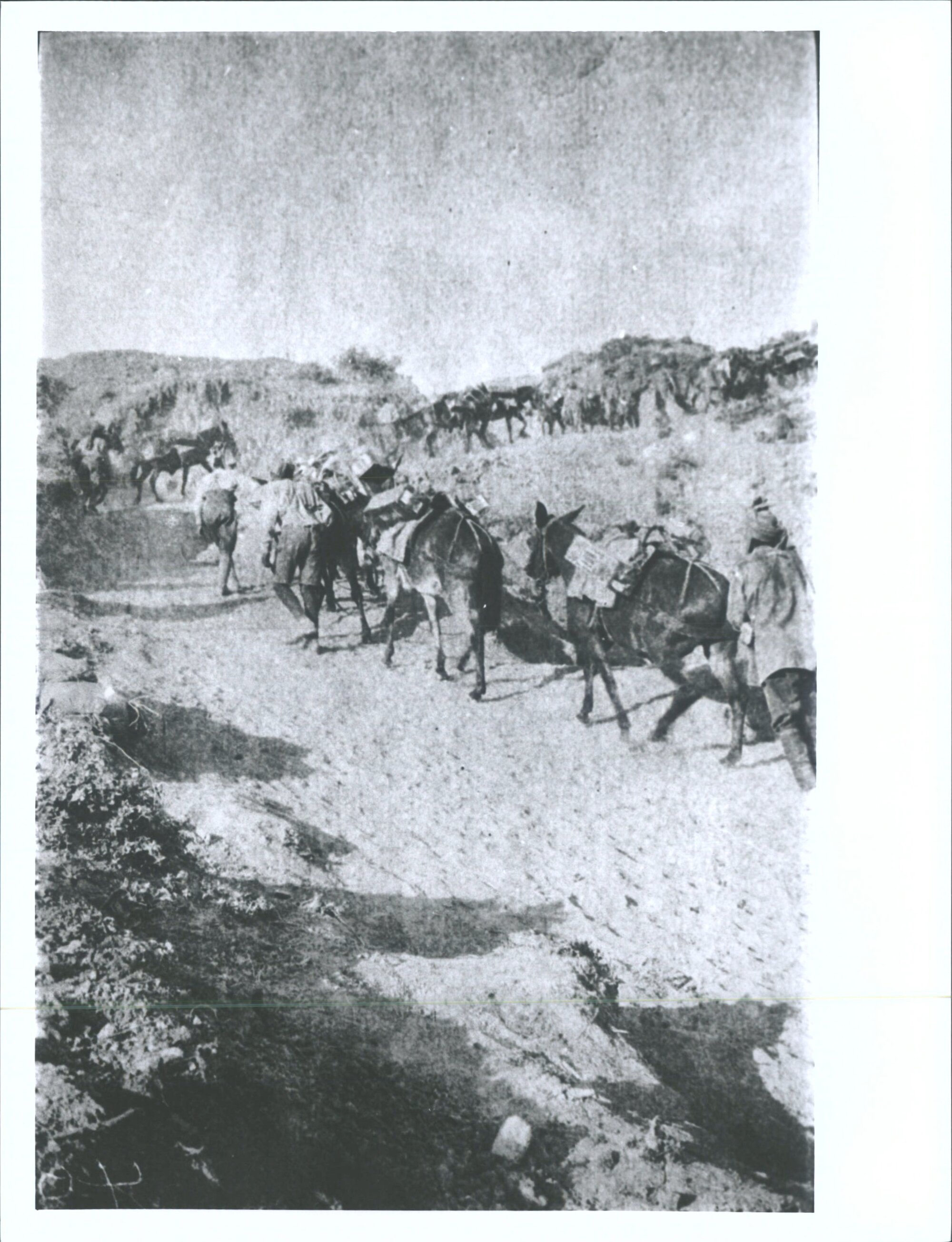 "Bringing up ammunition"