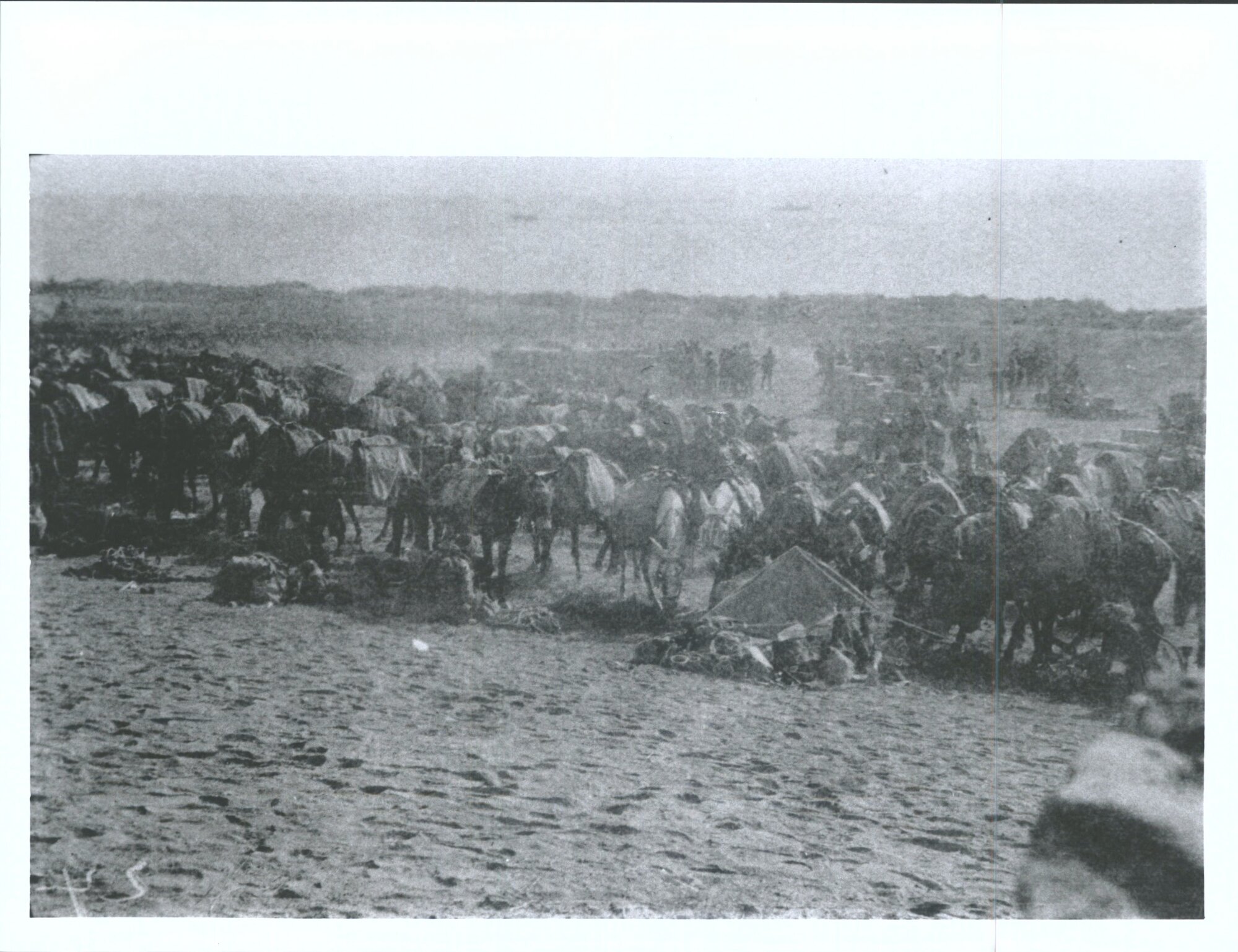 No. 2 Outpost: Mules at No. 2