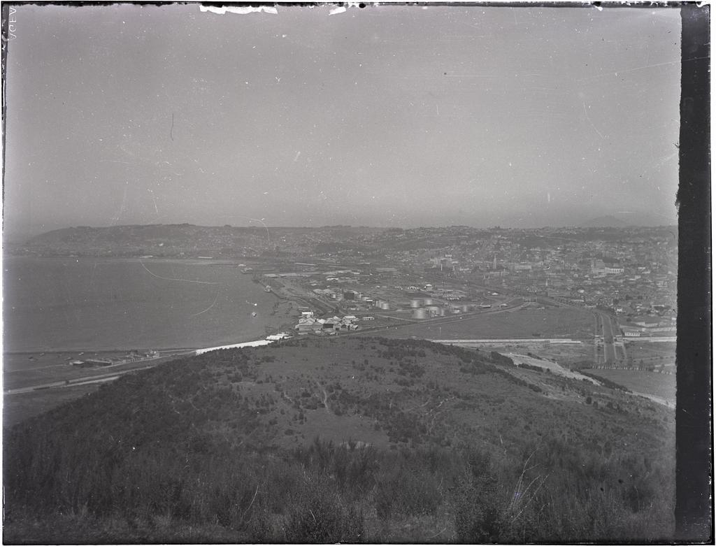 View looking south over Dunedin City and harbour