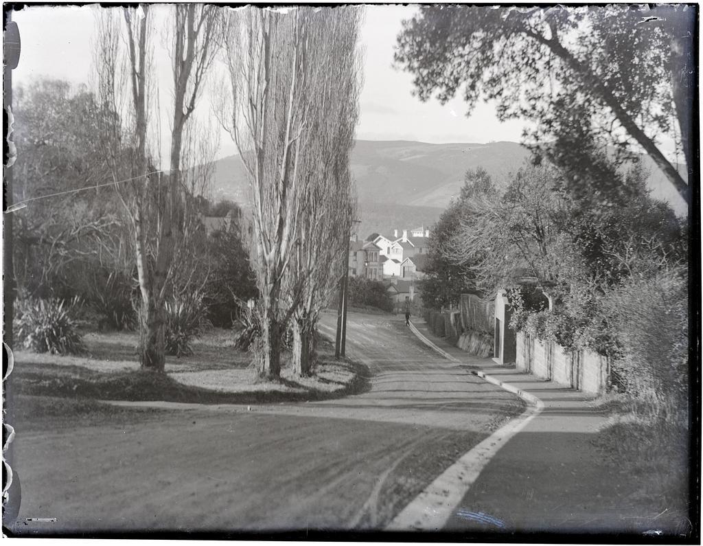 View from Duchess Avenue towards Heriot Row, Dunedin