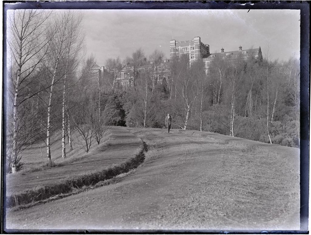 Driveway and trees leading to Knox College, Dunedin