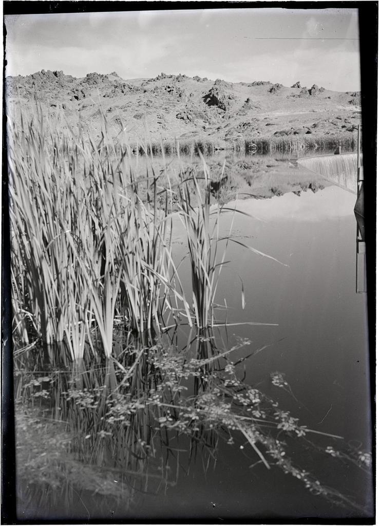 Rushes, lake, and rocky hillside [Central Otago?]