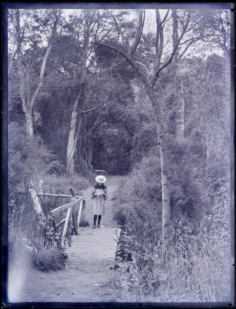 Girl in a straw hat standing on a rustic bridge in the Woodhaugh Reserve