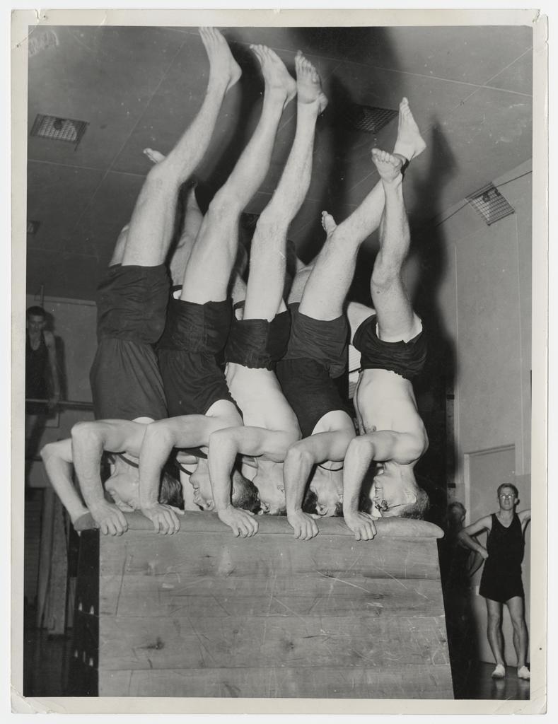 Five men doing headstands on a vaulting horse