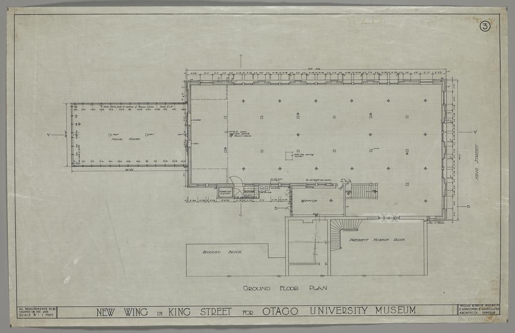 No. 559. Otago Museum, plans for Willi Fels wing, Great King Street, Dunedin, Edmund Anscombe / Miller and White architects. Sheet 3, ground floor plan.A3424