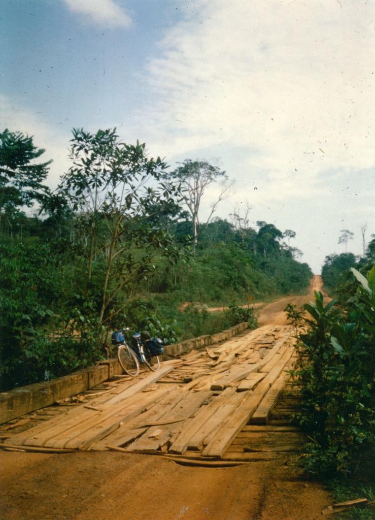 'Amazon Jungle. 1978. What bridges!'