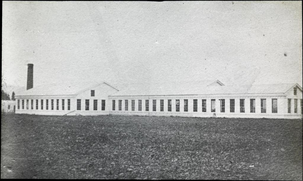 [Mosgiel] woollen mill