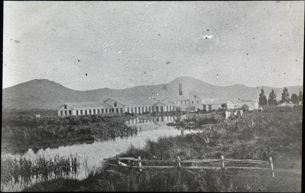 [Mosgiel] woollen mill