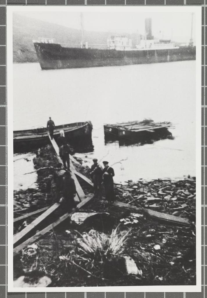 Loading firewood onto barges at Carnley Harbour, S.S. Erlangen at anchor in background