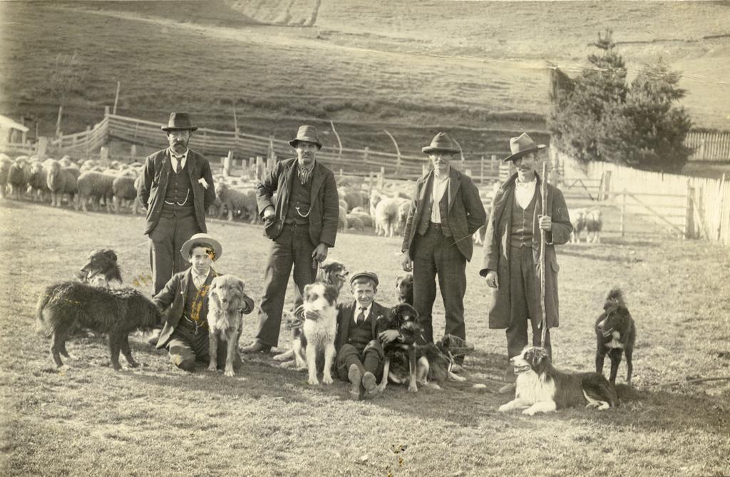 Mt Arum, showing men and boys with dogs, sheep in the background