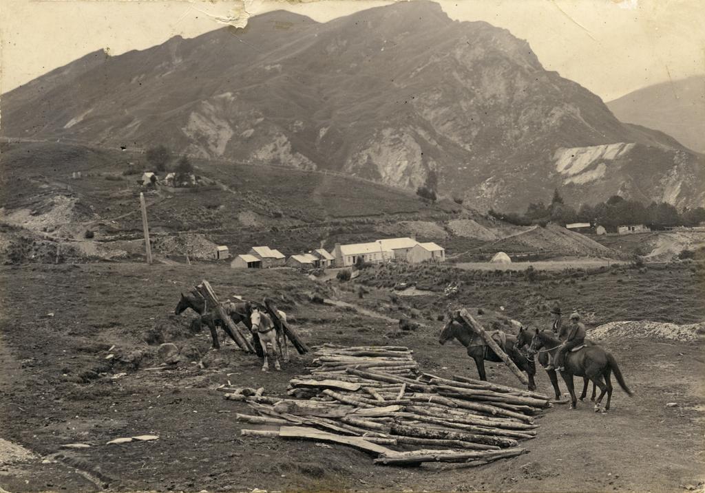 Horses and logs, with Aspinall's Cottage and Johnson's Otago Hotel in the background
