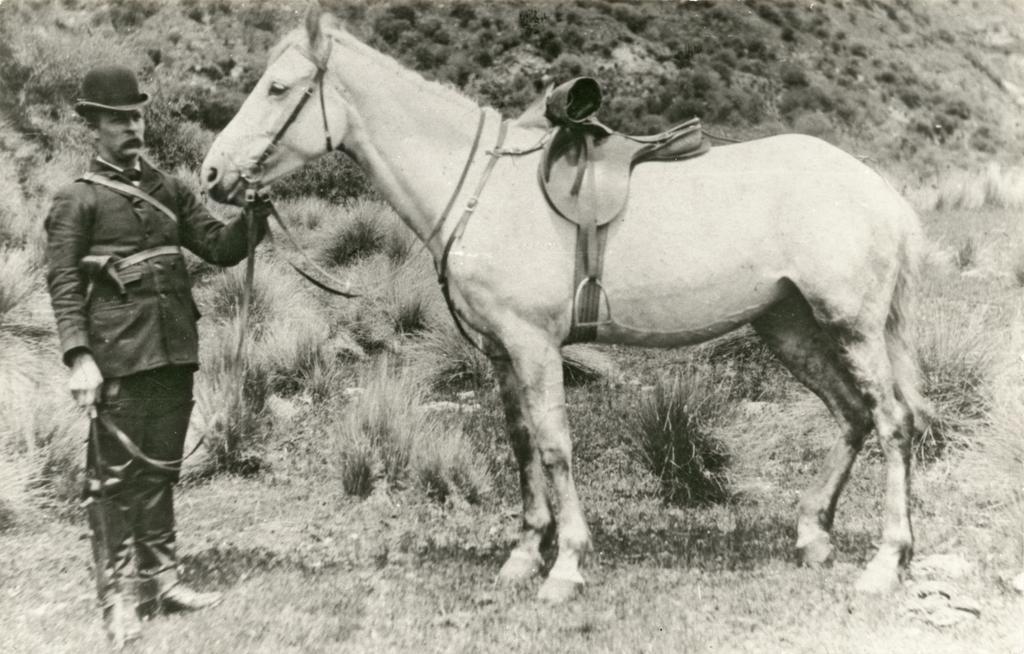 Robert C. White, Sandhills, Upper Shotover, with horse