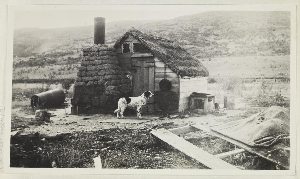 Rabbiter's hut, Roxburgh District
