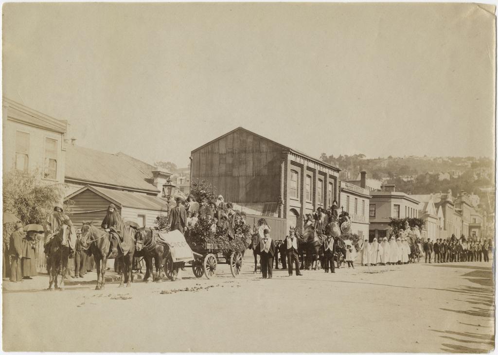 Druid groups in St Andrew Street, Dunedin
