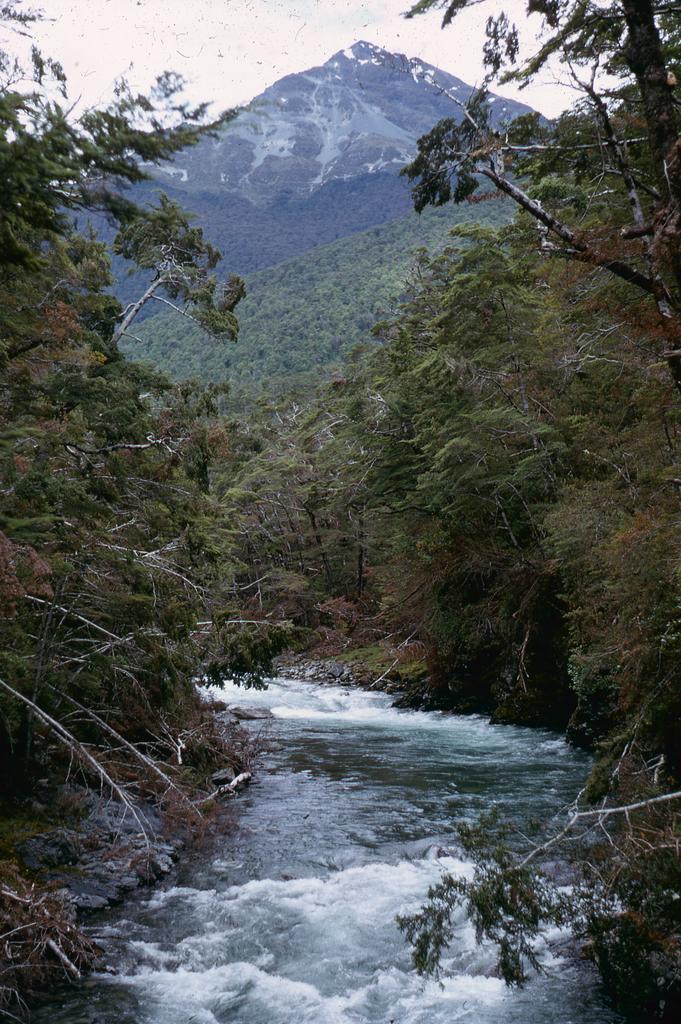 'Xmas 1968-69, Greenstone R[iver] from bridge'