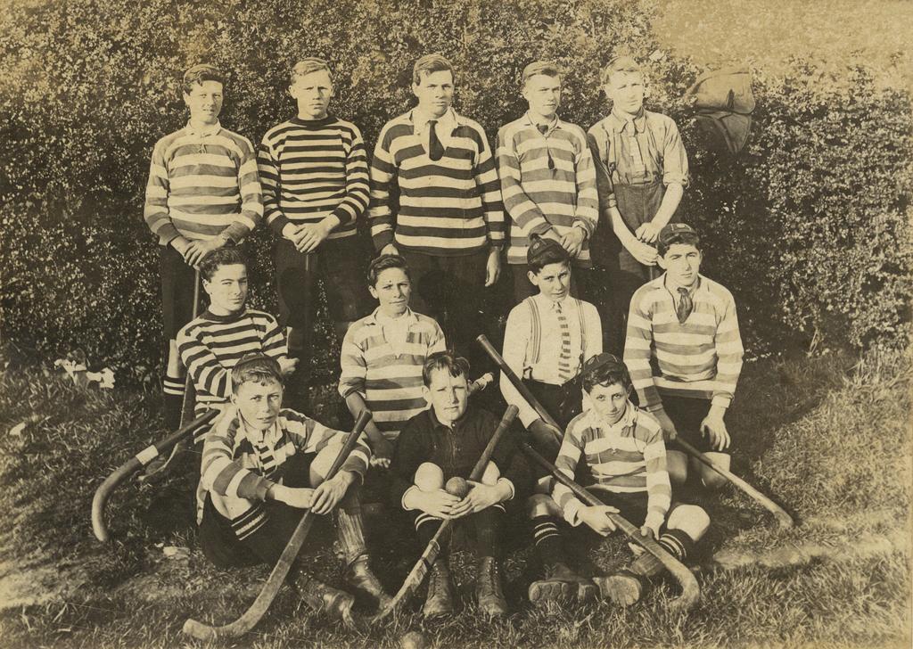 Boys' hockey team